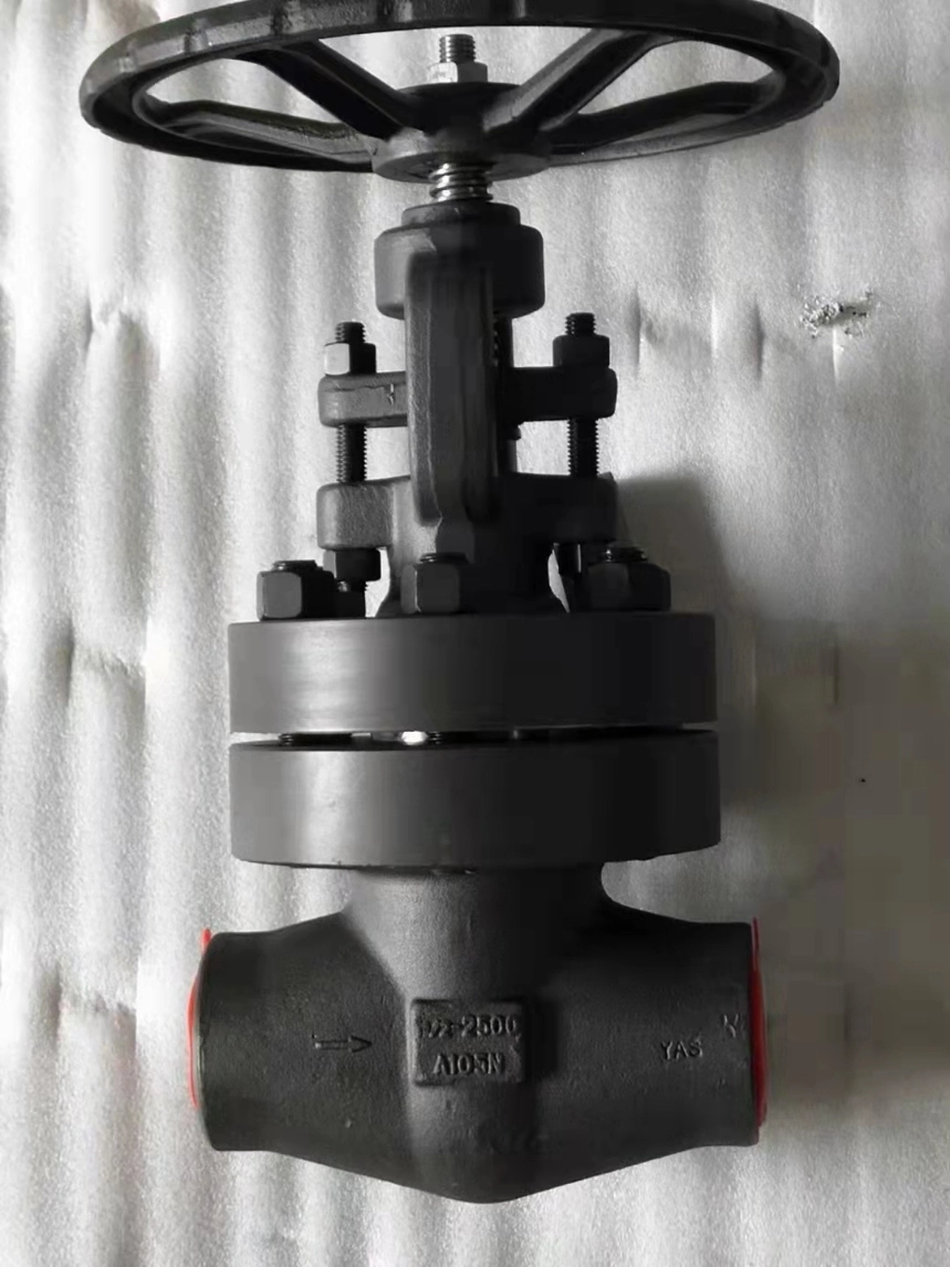 Forged Steel Sw Ends Globe Valve A105 N